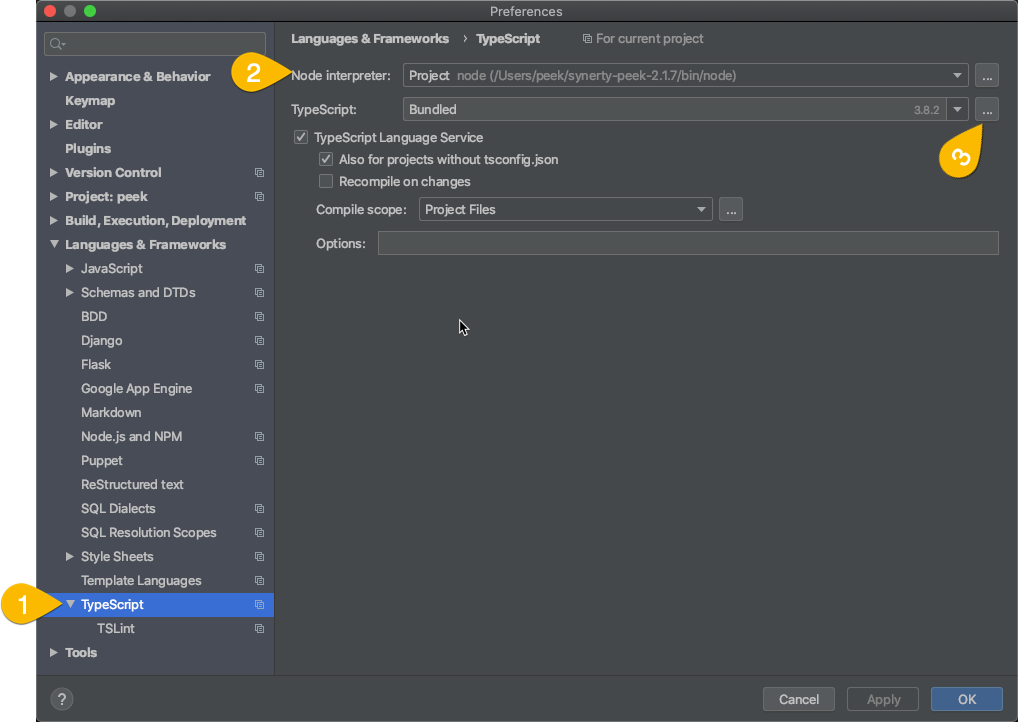 ../../_images/settings_typescript.png